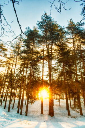 solcreme uden parfume